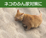 施工例001